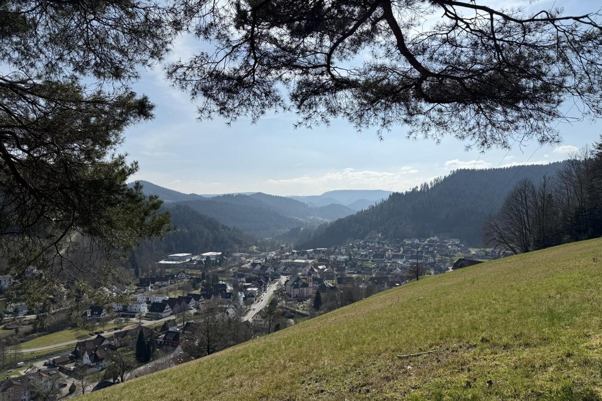 Schwarzwald Blockhaus - Sauna - Kamin - Mit Bettwaesche Und Handtuecher Schenkenzell Ngoại thất bức ảnh