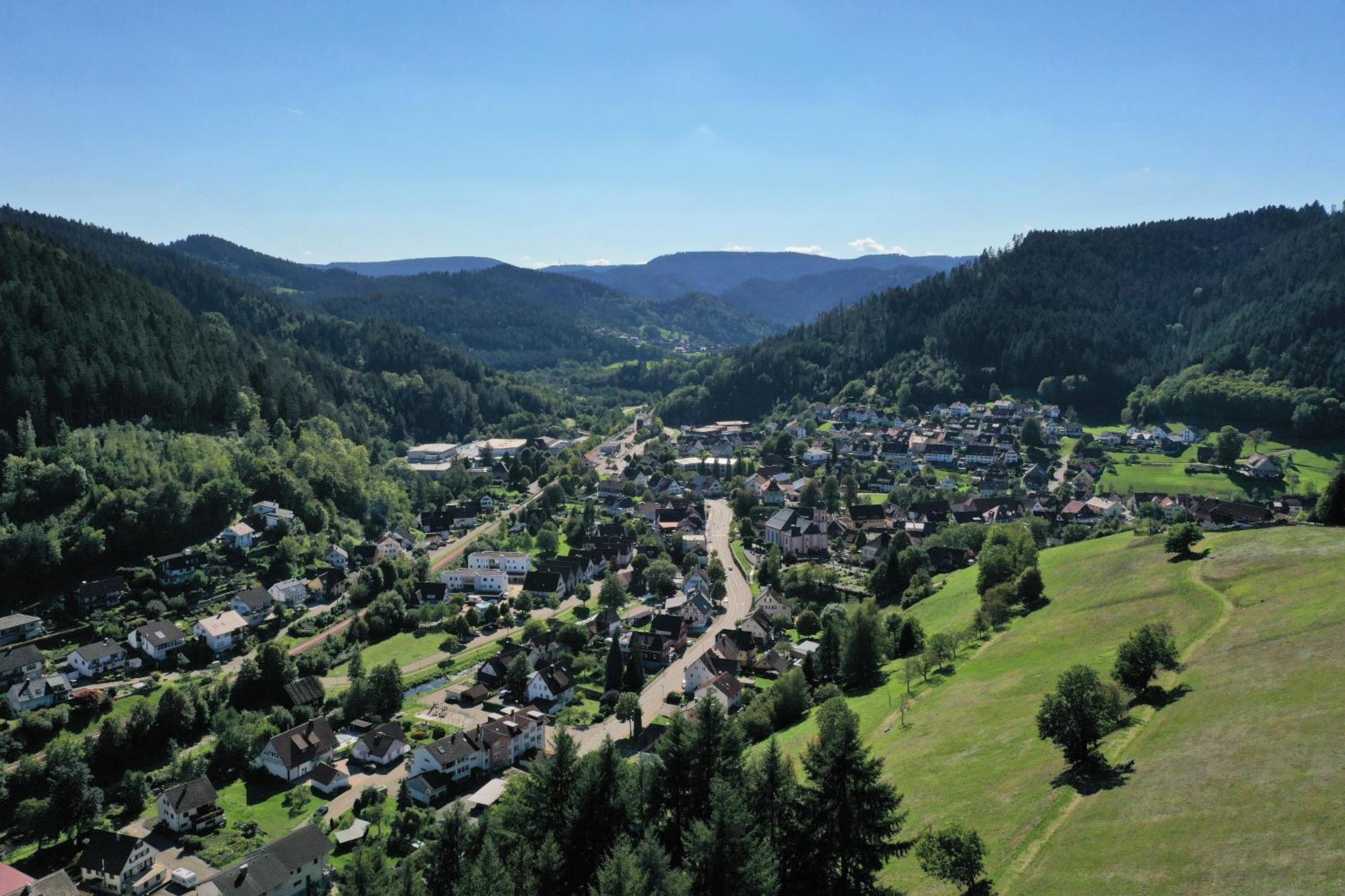 Schwarzwald Blockhaus - Sauna - Kamin - Mit Bettwaesche Und Handtuecher Schenkenzell Ngoại thất bức ảnh