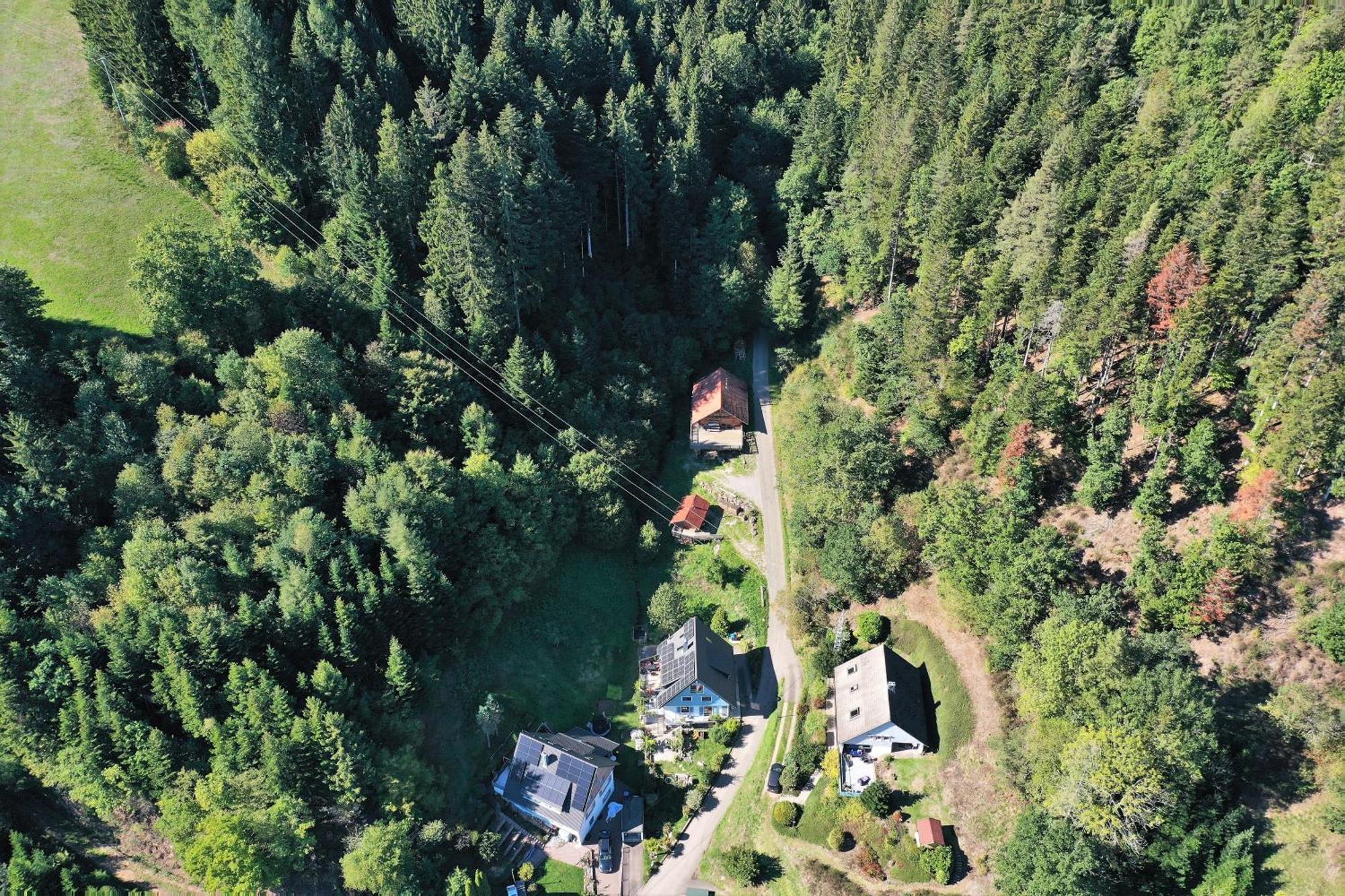 Schwarzwald Blockhaus - Sauna - Kamin - Mit Bettwaesche Und Handtuecher Schenkenzell Ngoại thất bức ảnh